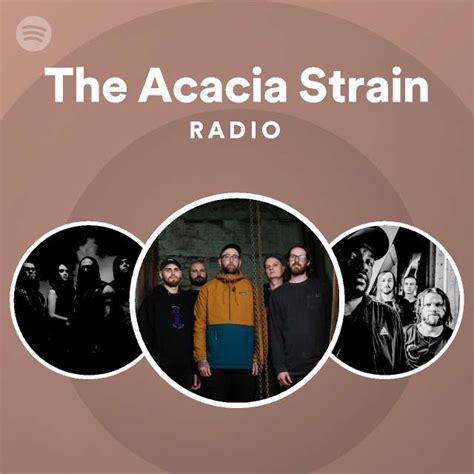 The Concept of Time in The Acacia Strain's 